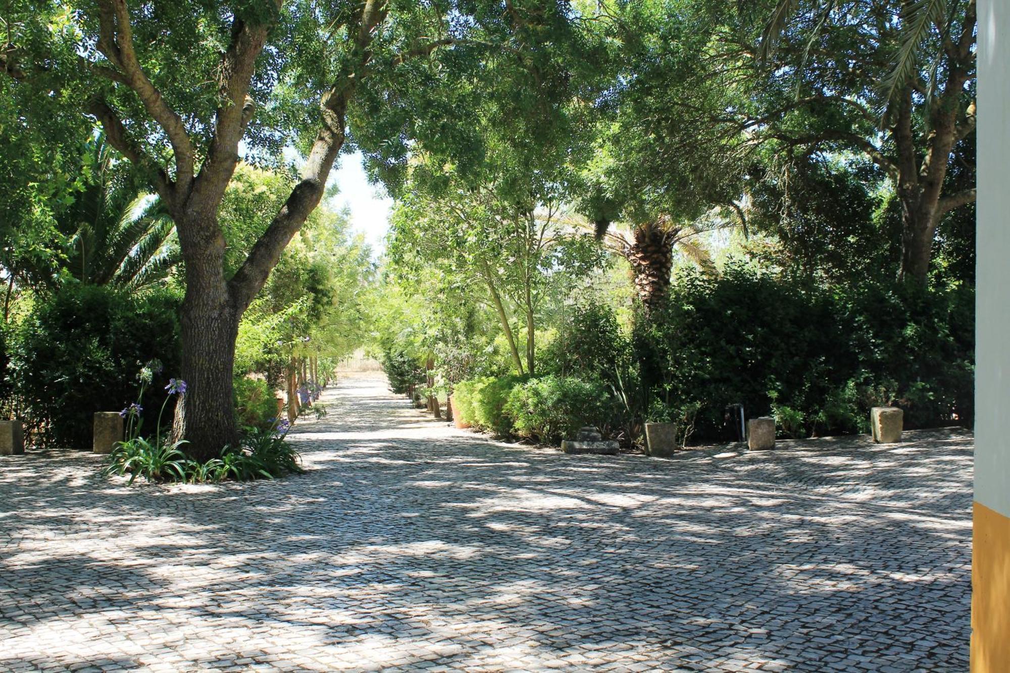 Quinta Do Casal De Santo Antonio Villa Alenquer Exterior photo